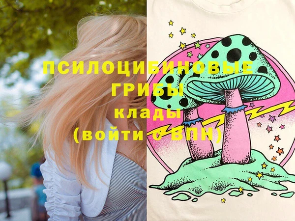 гашик Волосово