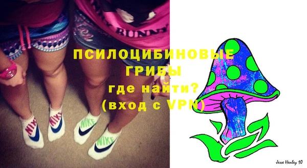 гашик Волосово